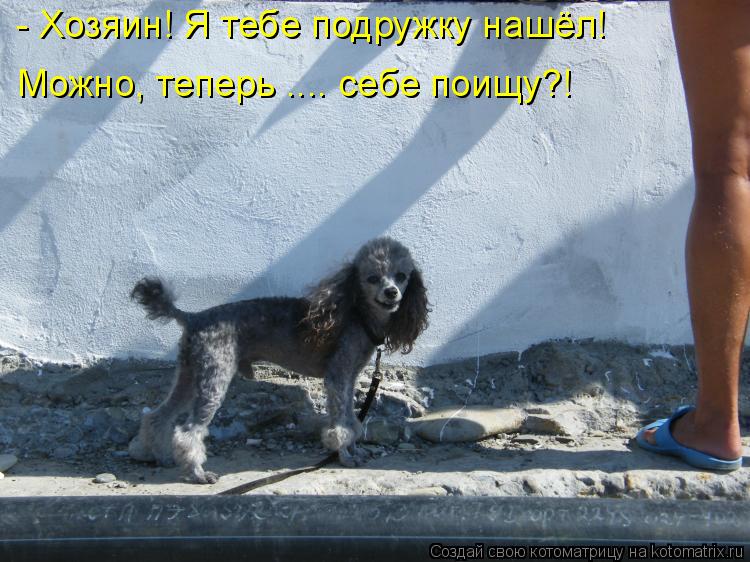 Котоматрица: - Хозяин! Я тебе подружку нашёл! Можно, теперь .... себе поищу?!