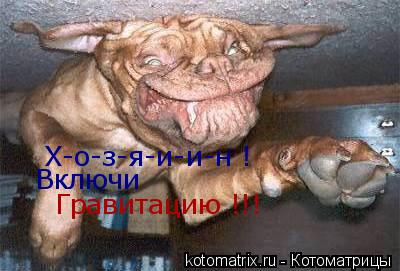 Котоматрица: Х-о-з-я-и-и-н ! Включи Гравитацию !!!