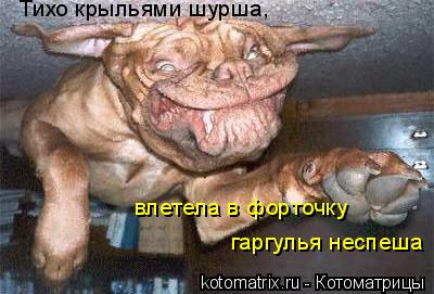 Котоматрица: Тихо крыльями шурша,  влетела в форточку гаргулья неспеша