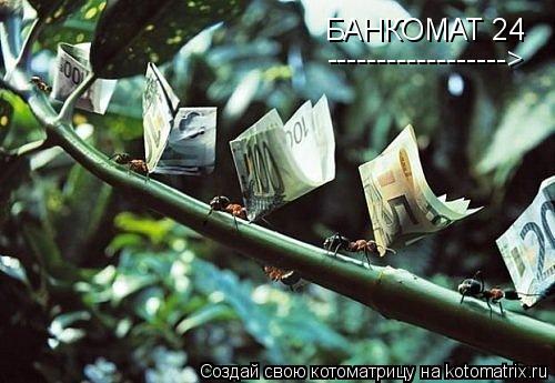 Котоматрица: БАНКОМАТ 24 ------------------>