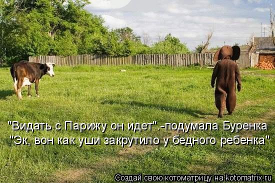 Котоматрица: "Видать с Парижу он идет".-подумала Буренка "Эк, вон как уши закрутило у бедного ребенка"