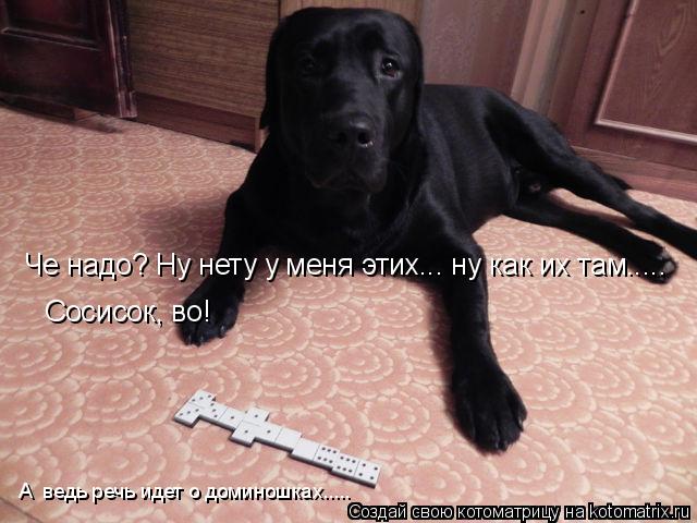 Котоматрица: Че надо? Ну нету у меня этих... ну как их там.....  Сосисок, во! А  ведь речь идет о доминошках.....