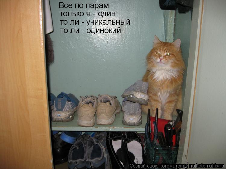 Котоматрица: Всё по парам только я - один то ли - уникальный то ли - одинокий