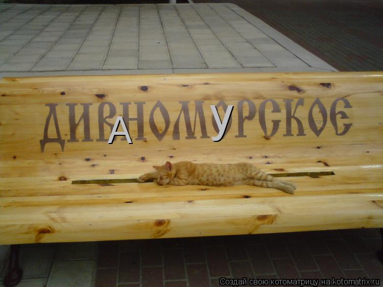 Котоматрица: А у