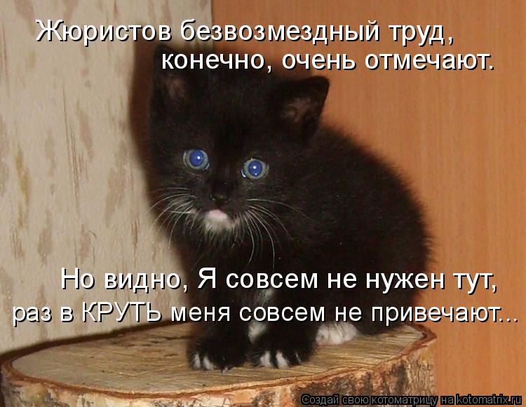 Котоматрица: Жюристов безвозмездный труд,  конечно, очень отмечают. Но видно, Я совсем не нужен тут,  раз в КРУТЬ меня совсем не привечают...