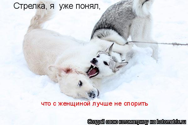 Котоматрица: Стрелка, я  уже понял, что с женщиной лучше не спорить