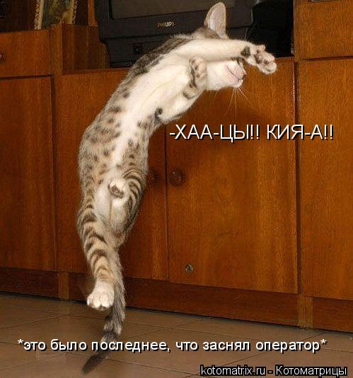 Котоматрица: -ХАА-ЦЫ!! КИЯ-А!! *это было последнее, что заснял оператор*