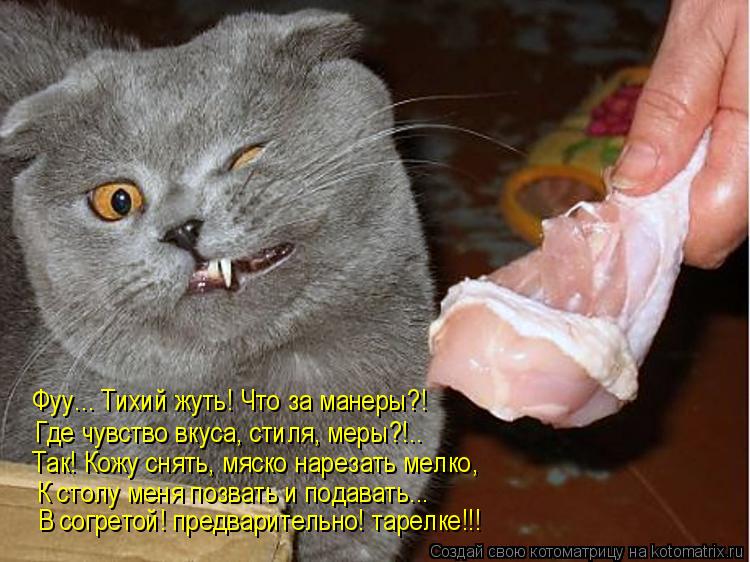К столу меня позвать и подавать... Так! Кожу снять, мяско нарезать мелко, Где чувство вкуса, стиля, м... Котоматрица: К столу меня позвать и подавать... Так! Кожу снять, мяско нарезать мелко, Где чувство вкуса, стиля, меры?!.. Фуу... Тихий жуть! Что за манеры?! В со