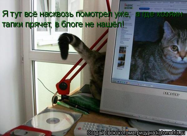 Котоматрица: Я тут всё насквозь помотрел уже,  а где хозяин  тапки прячет, в блоге не нашёл!