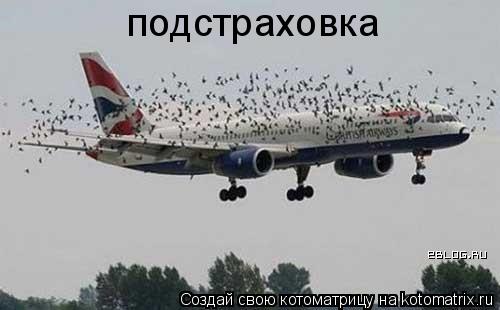 Котоматрица: подстраховка