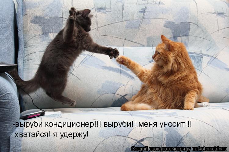 Котоматрица: -выруби кондиционер!!! выруби!! меня уносит!!! -хватайся! я удержу!