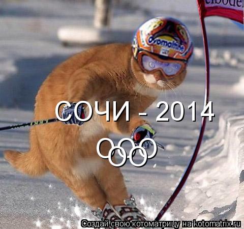 Котоматрица: ООО ОО СОЧИ - 2014