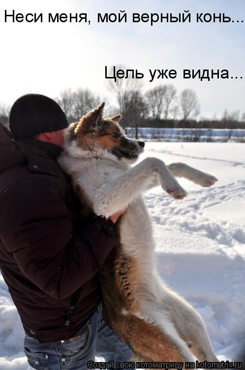 Котоматрица: Неси меня, мой верный конь...  Цель уже видна...