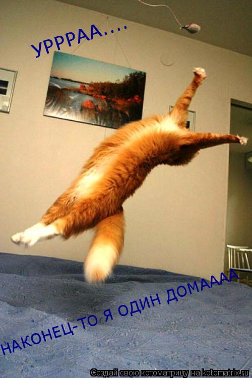 УРРРАА.... НАКОНЕЦ-ТО Я ОДИН ДОМАААА... Котоматрица: УРРРАА.... НАКОНЕЦ-ТО Я ОДИН ДОМАААА