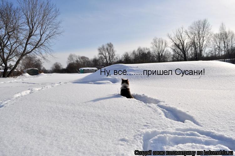 Ну, всё.......пришел Сусани!... Котоматрица: Ну, всё.......пришел Сусани!