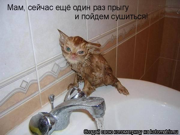 Мам, сейчас ещё один раз прыгу и пойдем сушиться!... Котоматрица: Мам, сейчас ещё один раз прыгу и пойдем сушиться!