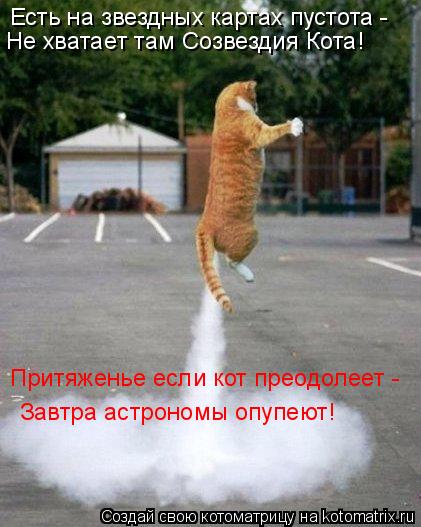 Котоматрица: Есть на звездных картах пустота - Не хватает там Созвездия Кота! Притяженье если кот преодолеет -  Завтра астрономы опупеют!