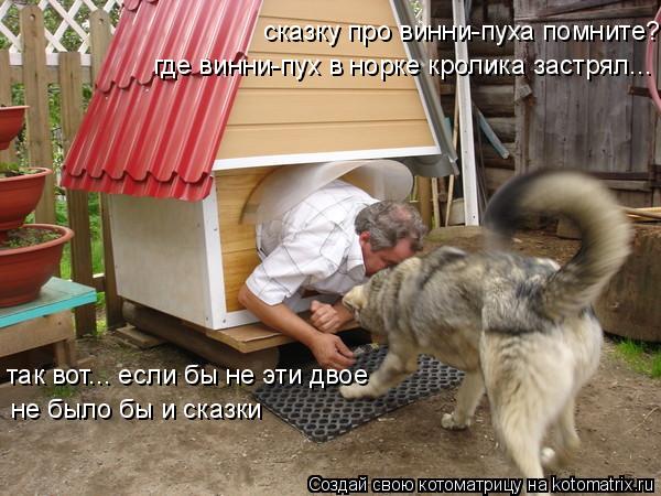 Котоматрица: сказку про винни-пуха помните? где винни-пух в норке кролика застрял... так вот... если бы не эти двое не было бы и сказки