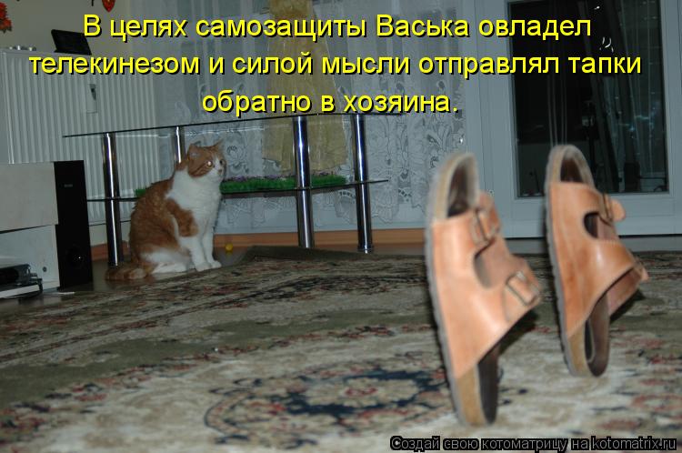Котоматрица: В целях самозащиты Васька овладел телекинезом и силой мысли отправлял тапки обратно в хозяина.