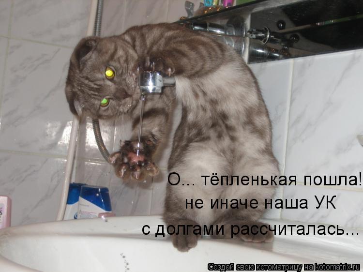Котоматрица: О... тёпленькая пошла! не иначе наша УК  с долгами рассчиталась...