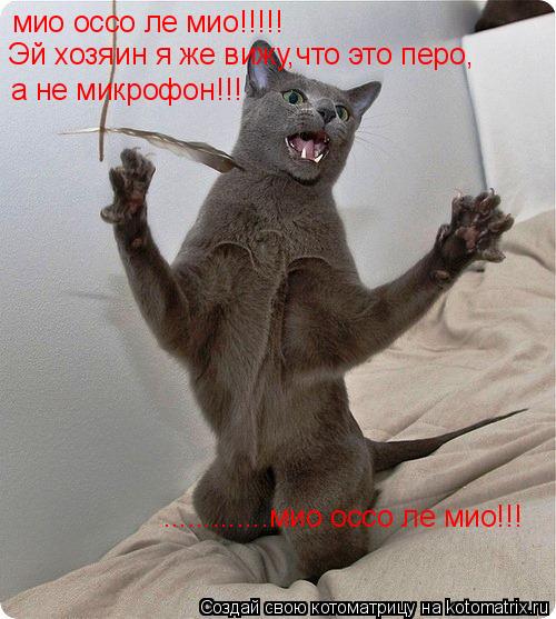 Котоматрица: мио оссо ле мио!!!!! Эй хозяин я же вижу,что это перо, а не микрофон!!! .............мио оссо ле мио!!!