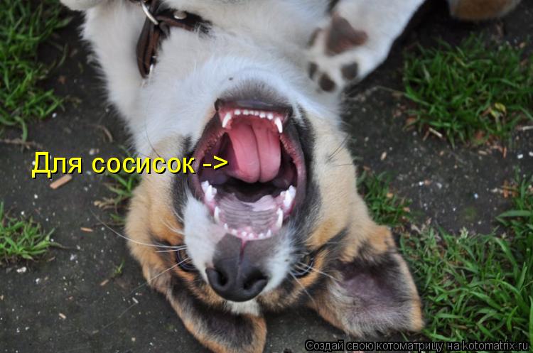 Котоматрица: Для сосисок ->