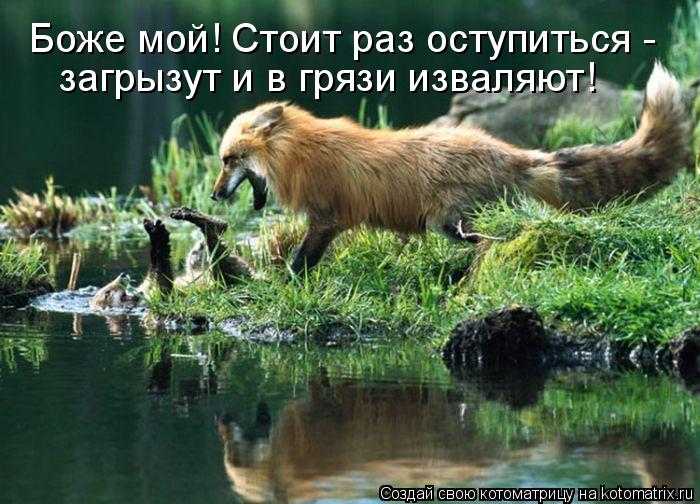 Котоматрица: Боже мой! Стоит раз оступиться -  загрызут и в грязи изваляют!