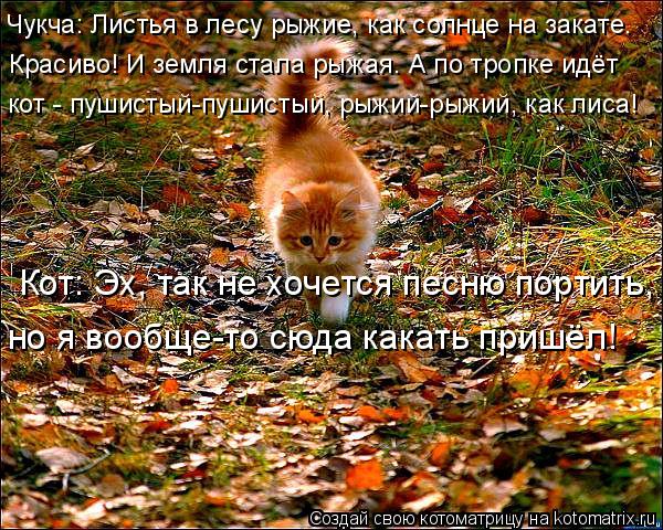 Котоматрица: Красиво! И земля стала рыжая. А по тропке идёт кот - пушистый-пушистый, рыжий-рыжий, как лиса! Чукча: Листья в лесу рыжие, как солнце на закате. 