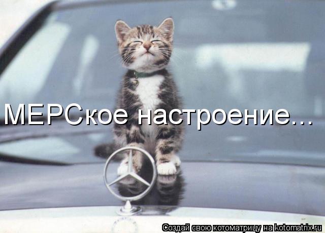 МЕРСкое настроение...... Котоматрица: МЕРСкое настроение...