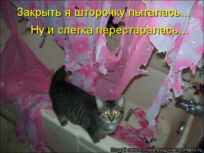 Закрыть я шторочку пыталась... Ну и слегка перестаралась...... Котоматрица: Закрыть я шторочку пыталась... Ну и слегка перестаралась...
