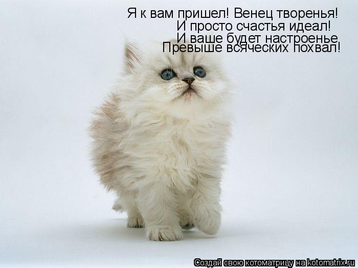 Котоматрица: Я к вам пришел! Венец творенья! И просто счастья идеал! И ваше будет настроенье  Превыше всяческих похвал!