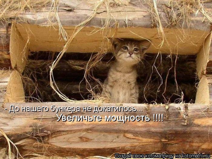 Котоматрица: - До нашего бункера не докатилось... Увеличьте мощность !!!!