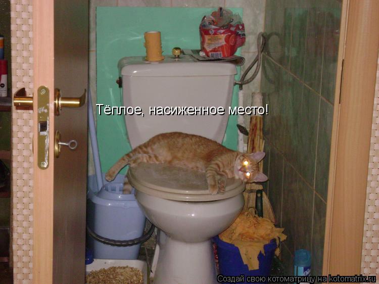 Котоматрица: Тёплое, насиженное место!