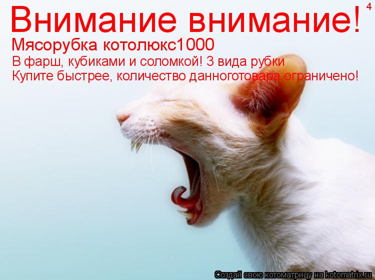 Котоматрица: Внимание внимание! Мясорубка котолюкс1000 4 В фарш, кубиками и соломкой! 3 вида рубки Купите быстрее, количество данноготовара ограничено!