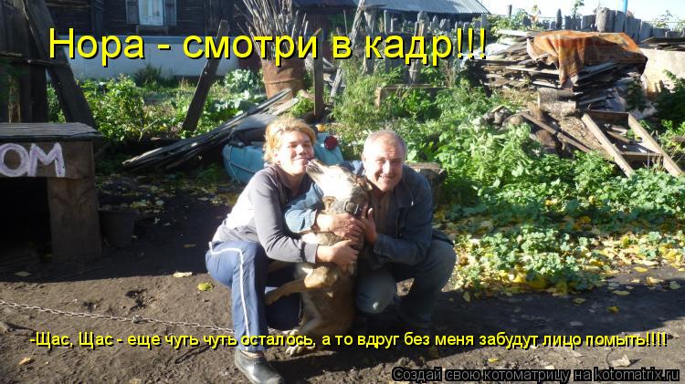 Нора - смотри в кадр!!! -Щас, Щас - еще чуть чуть осталось, а то вдруг без меня забудут лицо помыть!!... Котоматрица: Нора - смотри в кадр!!! -Щас, Щас - еще чуть чуть осталось, а то вдруг без меня забудут лицо помыть!!!!