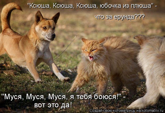 "Ксюша, Ксюша, Ксюша, юбочка из плюша" - что за ерунда??? "Муся, Муся, Муся, я тебя боюся!" - вот э... Котоматрица: "Ксюша, Ксюша, Ксюша, юбочка из плюша" - что за ерунда??? "Муся, Муся, Муся, я тебя боюся!" - вот это да!