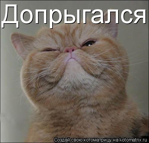 Допрыгался... Котоматрица: Допрыгался