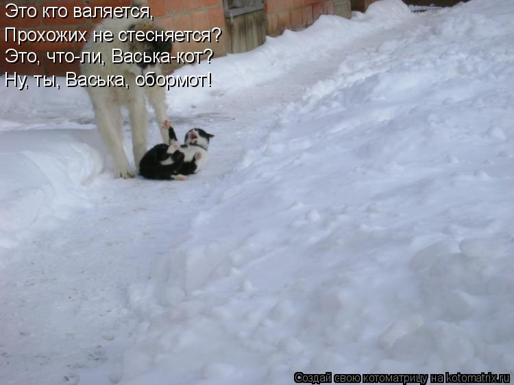 Это кто валяется, Прохожих не стесняется? Это, что-ли, Васька-кот? Ну, ты, Васька, обормот!... Котоматрица: Это кто валяется, Прохожих не стесняется? Это, что-ли, Васька-кот? Ну, ты, Васька, обормот!