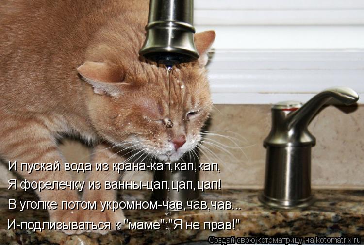 Котоматрица: И пускай вода из крана-кап,кап,кап, Я форелечку из ванны-цап,цап,цап! В уголке потом укромном-чав,чав,чав... И-подлизываться к "маме":"Я не прав!"