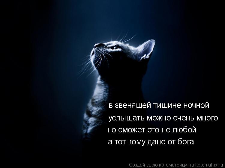 услышать можно очень много в звенящей тишине ночной но сможет это не любой а тот кому дано от бога... Котоматрица: услышать можно очень много в звенящей тишине ночной но сможет это не любой а тот кому дано от бога