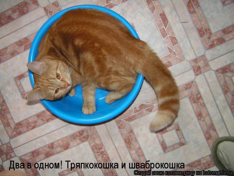 Котоматрица: Два в одном! Тряпкокошка и шваброкошка