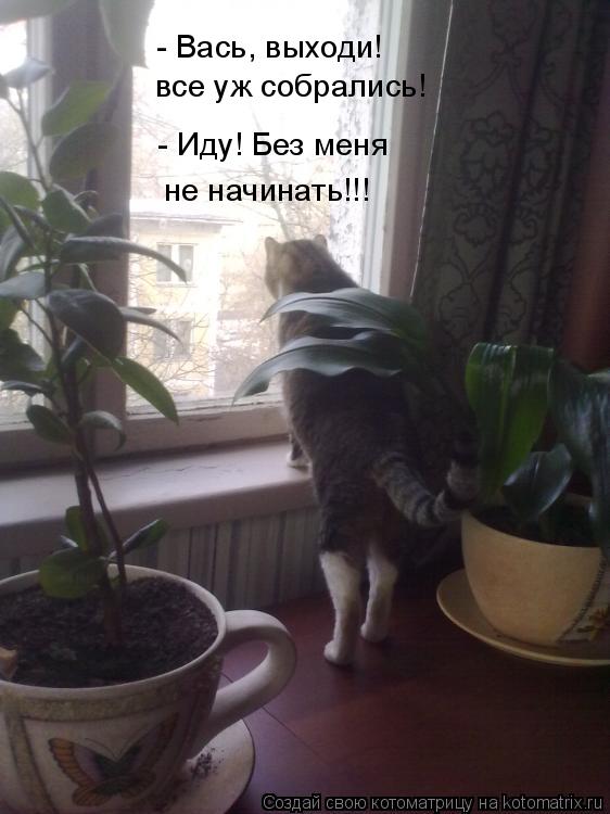 Котоматрица: - Вась, выходи! все уж собрались! - Иду! Без меня не начинать!!!
