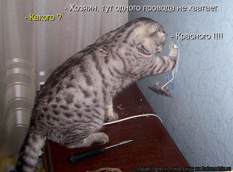 - Хозяин, тут одного провода не хватает. - Какого ? - Красного !!!!... Котоматрица: - Хозяин, тут одного провода не хватает. - Какого ? - Красного !!!!