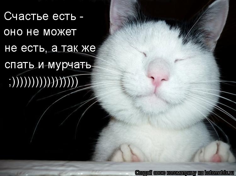 Котоматрица: не есть, а так же спать и мурчать ;))))))))))))))))) Счастье есть - оно не может