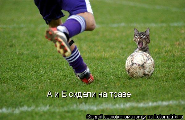 Котоматрица: А и Б сидели на траве