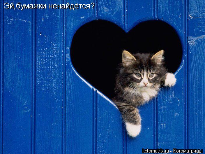 Котоматрица: Эй,бумажки ненайдётся?