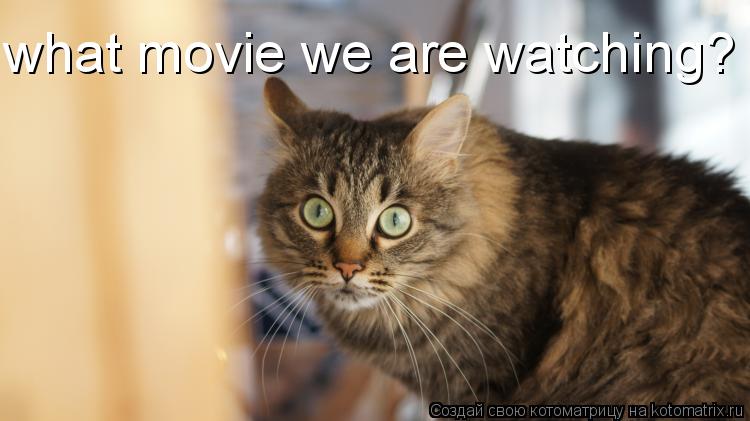 Котоматрица: what movie we are watching?