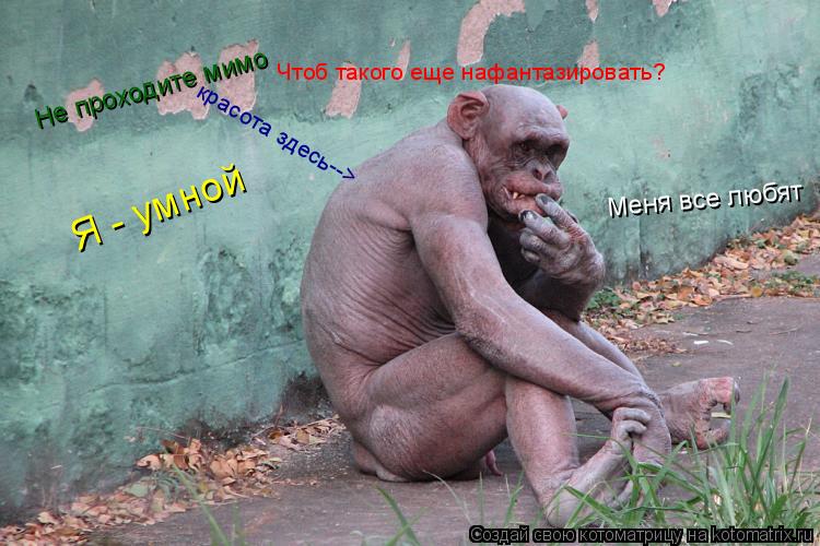 Котоматрица: Чтоб такого еще нафантазировать? Я - умной красота здесь--> Меня все любят Не проходите мимо