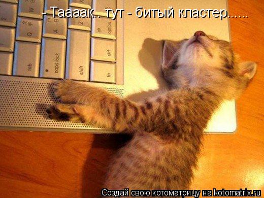 Котоматрица: - Таааак.. тут - битый кластер......