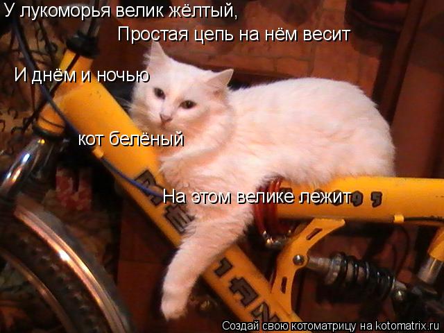Котоматрица: У лукоморья велик жёлтый, Простая цепь на нём весит И днём и ночью кот белёный На этом велике лежит